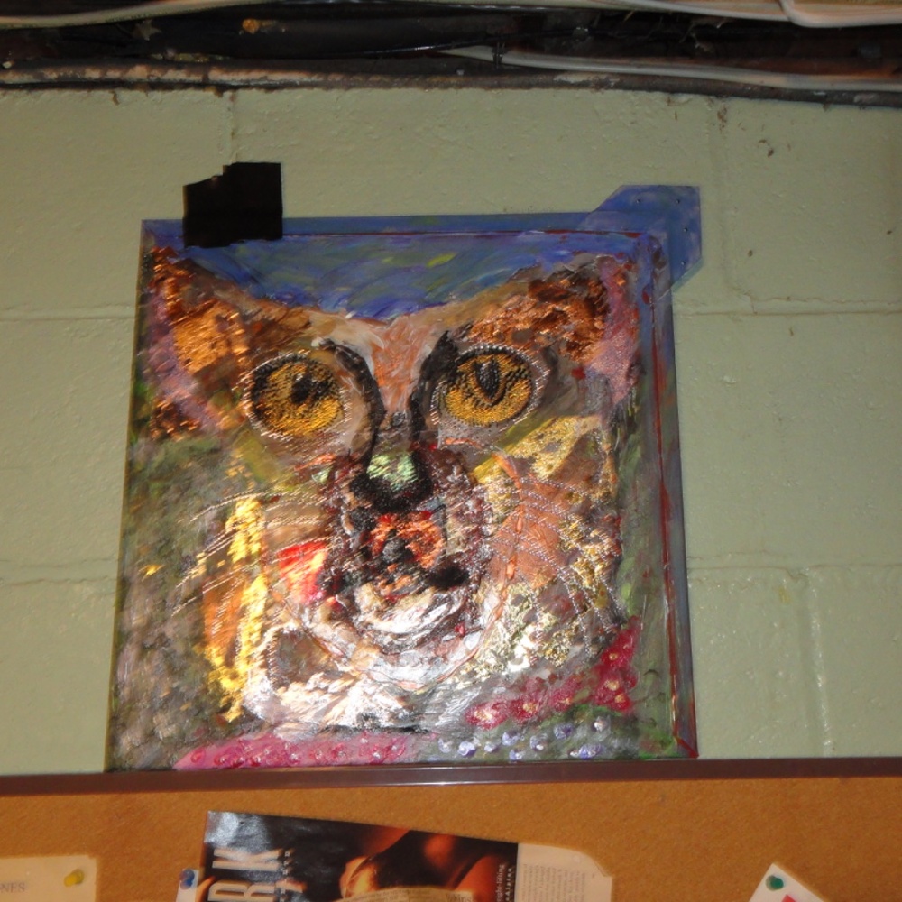 light cat - Picture 3 of 5